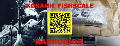 a pvp Камышлов