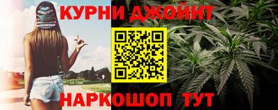 a pvp Камышлов