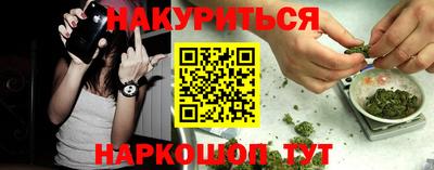 a pvp Камышлов