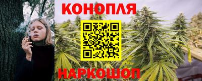 a pvp Камышлов