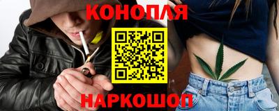 a pvp Камышлов