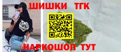 a pvp Камышлов